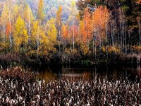 Чорне Озеро, фото - Іван Білоус